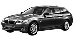 BMW F11 B19C4 Fault Code